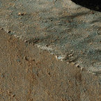 Beige Carbonifère
