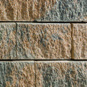 Beige Carbonifère