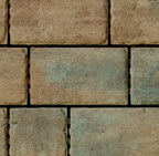 Beige Carbonifère