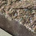 Brun Châtaigne 